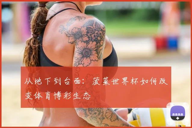 从地下到台面：菠菜世界杯如何改变体育博彩生态