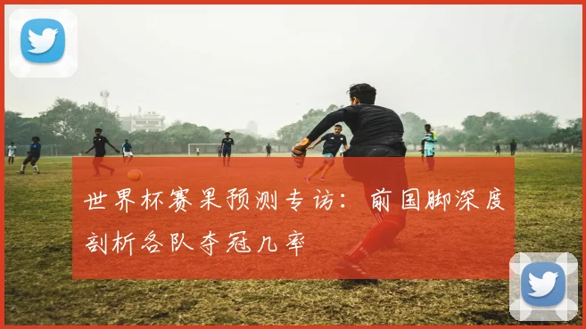 世界杯赛果预测专访：前国脚深度剖析各队夺冠几率