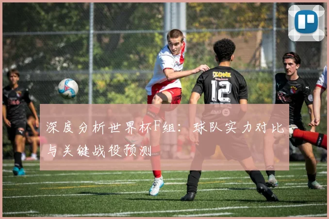 深度分析世界杯F组：球队实力对比与关键战役预测